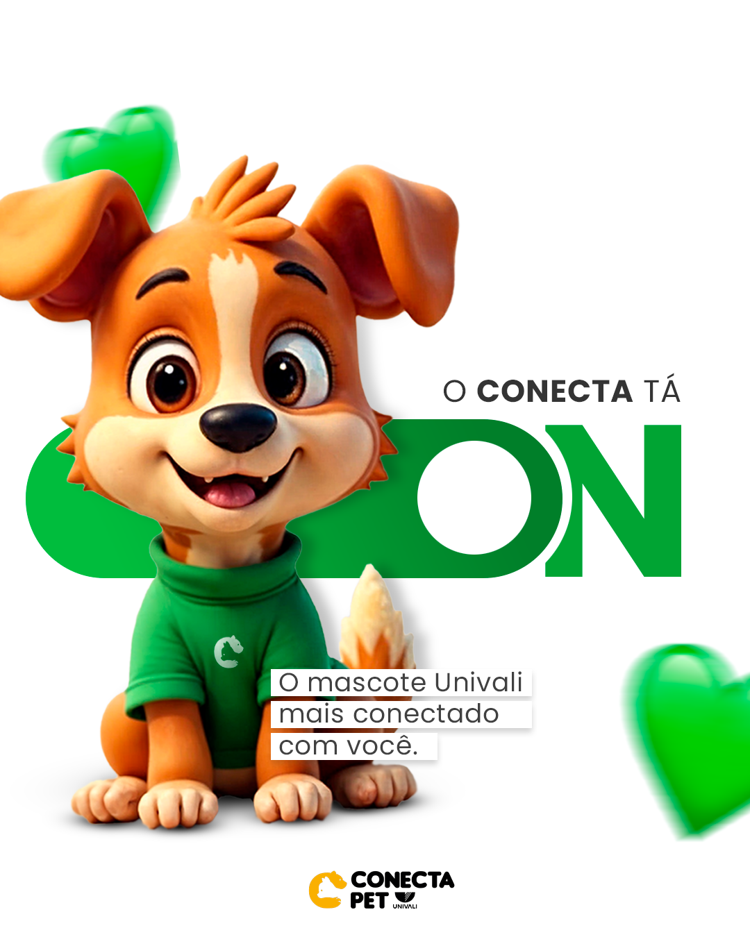 Conecta Pet — post 1