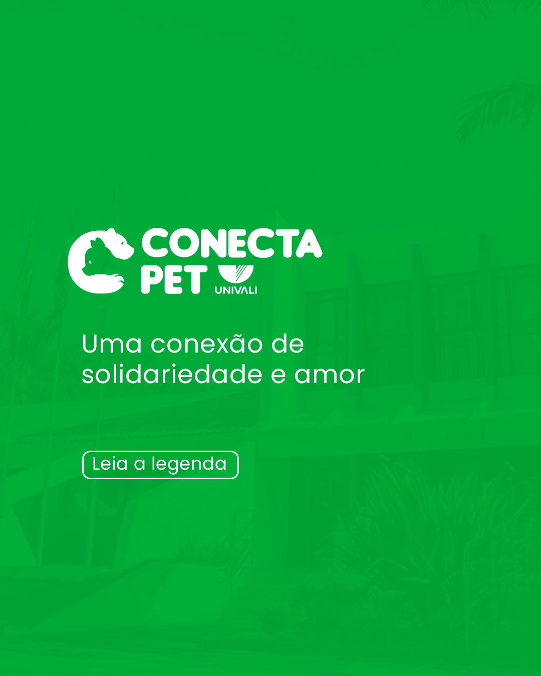 Conecta Pet — post 3