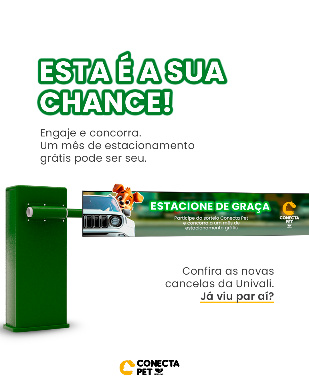 Conecta Pet — post 5