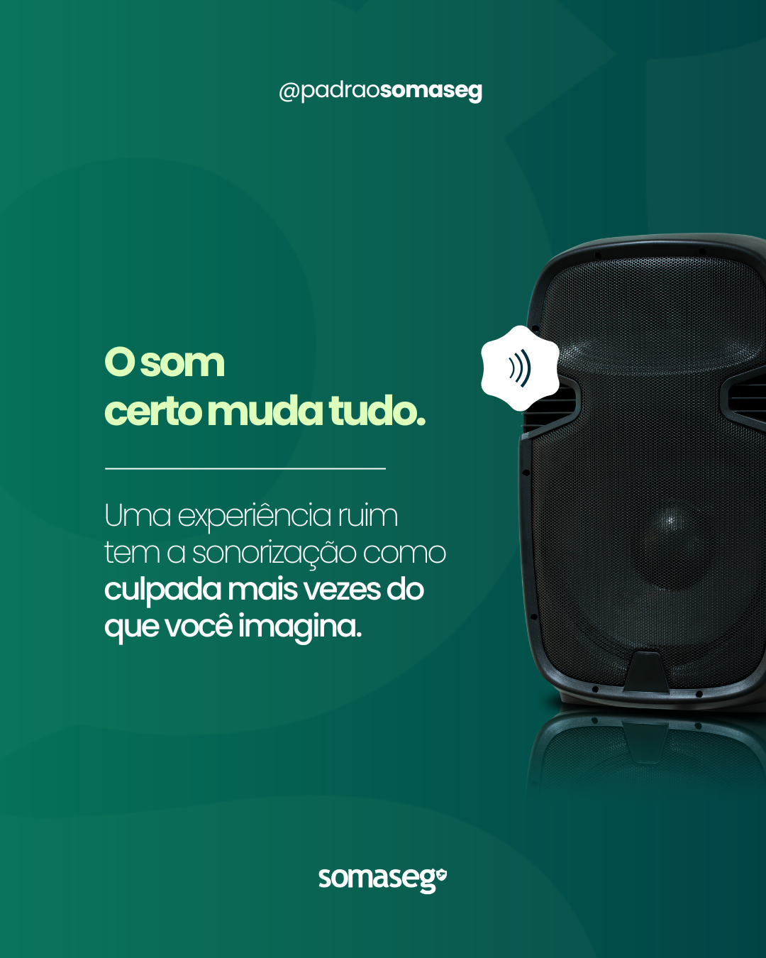 Somaseg — post 4